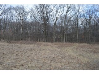 Property photo 86 - 127 Acres Offered in 8 Tracts - Allen & Dekalb County Land